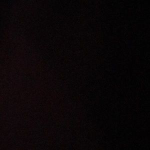 Meet your Posher, Shamonti